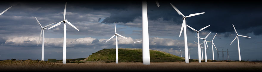 Unsere neuen Referenzen